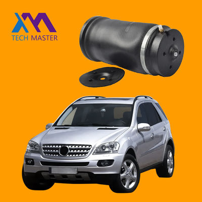 Mercedes-Benz W164 ML350 ML500 Πίσω αερόθυρο 2005-2011 1643200625