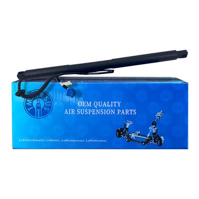 Δυναμική θύρα ανελκυστήρα A1668900100 Για GL GLS X166 2013-2019 RH
