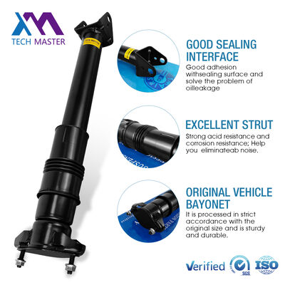 Απορροφητής αέρα για Mercedes-Benz W251/R300 Πίσω ανάρτηση αέρα 2513202231 2513200730