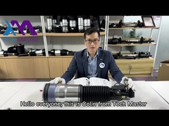 Οπίσθιος απορροφητής κλονισμού αναστολής αέρα F02 F01