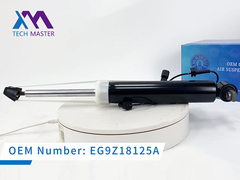 Τεχνολογικός Μάστερ Lincoln MKT Αριστερός απορροφητής σοκ με ADS DE9Z18125J, DE9Z18125B, DE9Z18125G