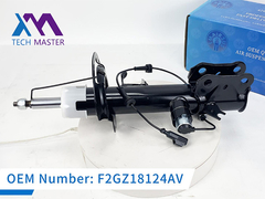 Τεχνολογικός Μάστερ Lincoln MKX Μπροστά αριστερά απορροφητή σοκ με ADS F2GZ18124AV