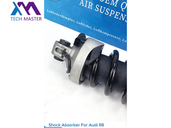 Τεχνολογικός Μάστερ TMAIRSUS Απορροφητής για Audi R8