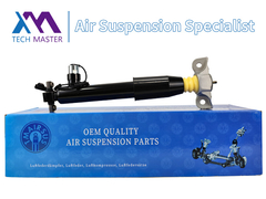 Τεχνικός Μάστερ Αριστερός Απορροφητής Κρούσης για το Lincoln MKX F2GZ18125Z