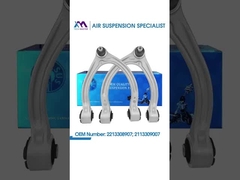 Τεχνικός Μάστερ TMAIRSUSΠρόσωπος άξονας, αριστερά, πάνω για το BENZ W221, Πρόσωπος άξονας, δεξιά, πάνω για το BENZ W211 22