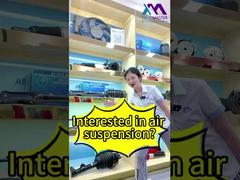 Tech Master = Η Επαγγελματική Πηγή Εργοστασίου Αμορτισέρ Αερανάρτησης